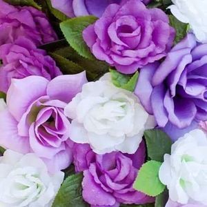 Meet your Posher, Connie